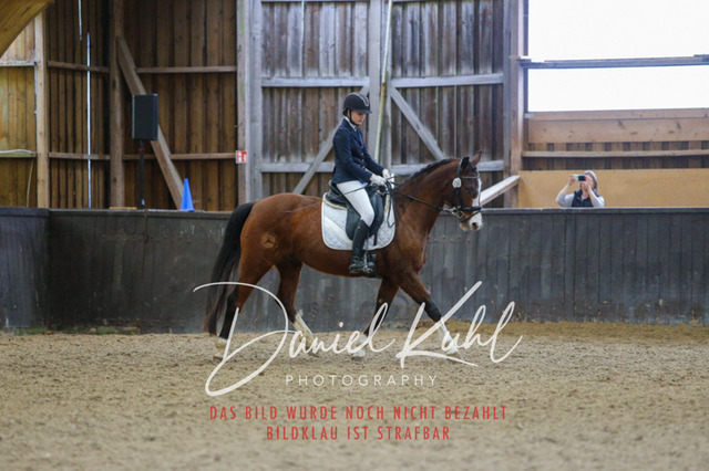 IMG_0635 | Turniersportfotografie; Pferdefotografie; Dressurfotografie
