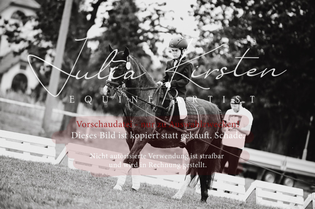 DSC_5295 | Pferde- und Turnierfotografie in Westsachsen. Pferdeportraits, Auftragszeichnungen und intuitive Kunst.