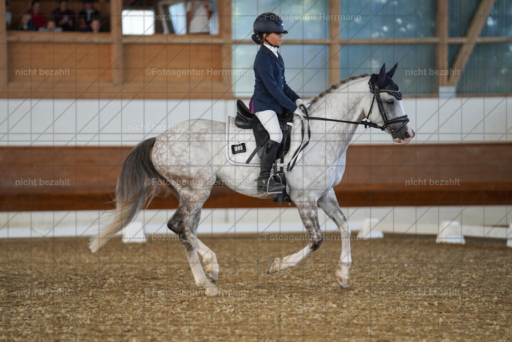 20240824-FAH07232 | Thierhaupten 2024, Bayerisches Landesponyturnier, Turnierbilder, Ponybilder, Turnierfotografen Bayern, Fotoagentur Herrmann