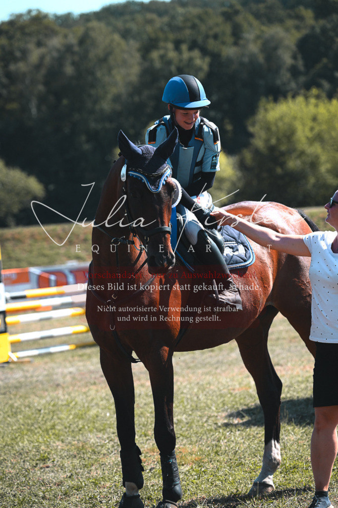 DSC_8414 | Pferde- und Turnierfotografie in Westsachsen. Pferdeportraits, Auftragszeichnungen und intuitive Kunst.