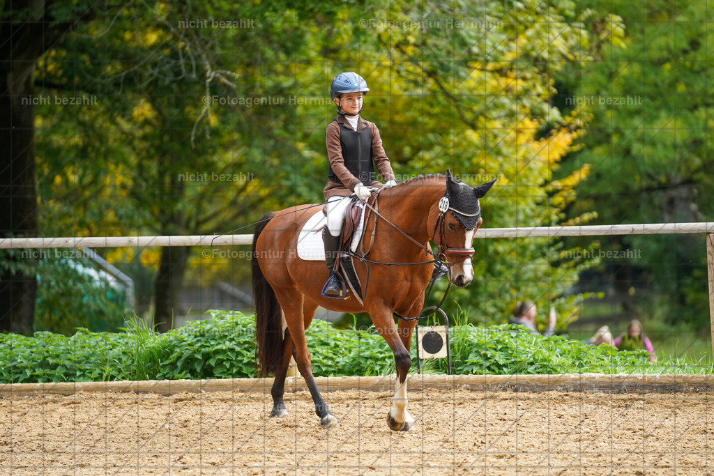 20221008-FAH01315 | Diessen am Ammersee, 2022, Dressur- und Springturnier, Reitsportbilder, Turnierfotografen Bayern, Pferdefotografen, Fotoagentur Herrmann, Turnierbilder