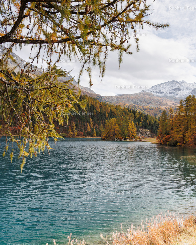 IMG_9544 | Erlebe eindrucksvolle Landschaftsfotografie aus dem Engadin und darüber hinaus. Raphael Fenner bietet zudem professionelle Fotoaufträge für Hochzeiten, Porträts und Unternehmen. Jetzt entdecken und inspirieren lassen!