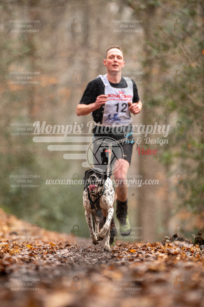 SPA_2023_DIM_CCL-31 | PayLife