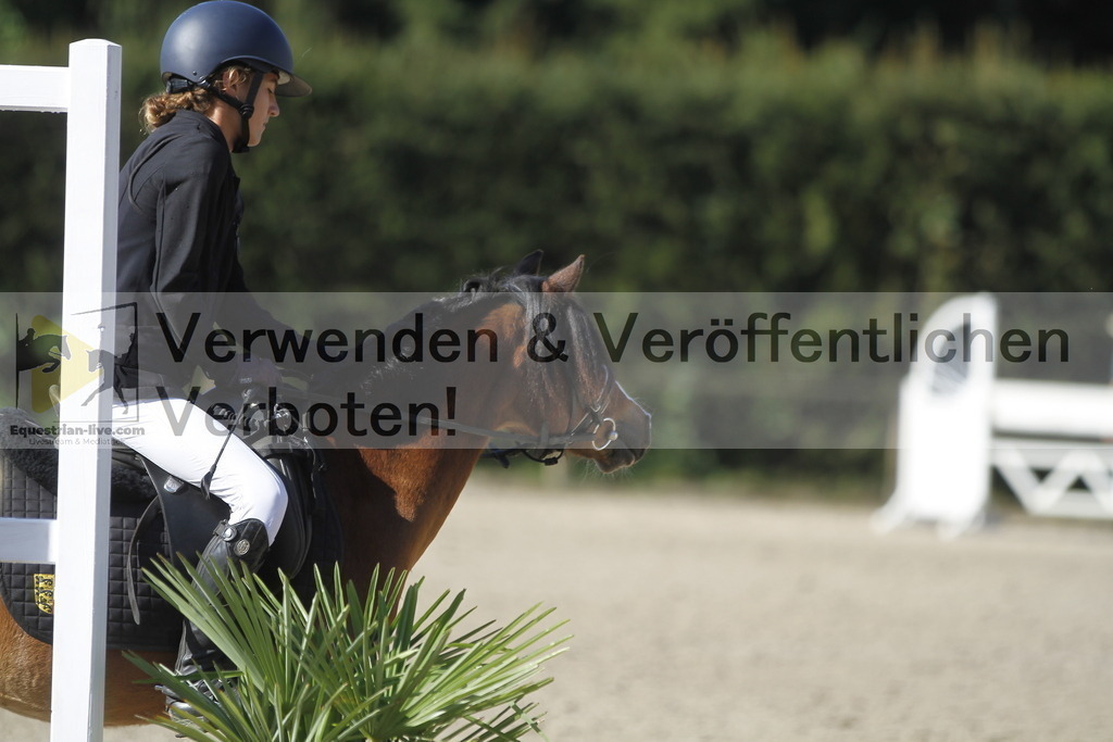 _MG_4233 | equestrian-live-com
