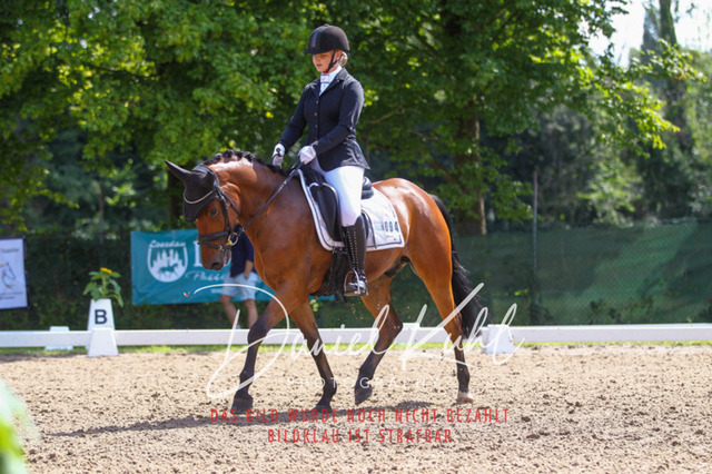 DKP42607 | Turniersportfotografie; Pferdefotografie; Dressurfotografie