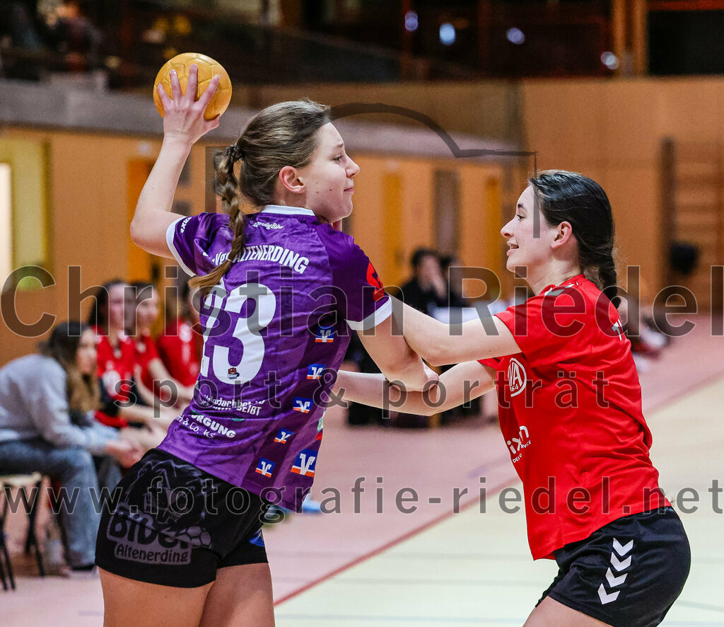 2024-01-27_024_SpVgg_Altenerding_II_gegen_TV_Altoetting_II | Erding, Deutschland, 27.01.2024:
Handball, Bezirksliga Frauen Altbayern 2023 / 2024, 10. Spieltag, SpVgg Altenerding II gegen TV Altötting II, Endergebnis: 17:29

Sophie Lößl (SpVgg Altenerding, #23)

Foto: Christian Riedel / fotografie-riedel.net