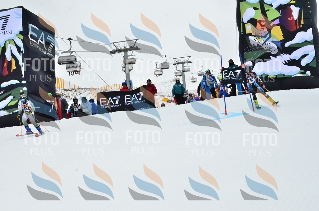 _ELE3382 | holidayphoto