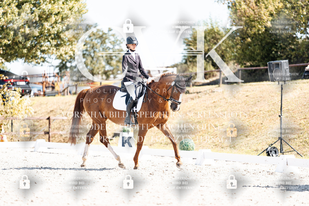CK903980 | Turnierfotografie Pferdefotografie Trier Rheinland-Pfalz Pferdesport Reitsport Tierfotografie Sportfotografie Pferdevideo Pferdevideografie Equestrianvideography equestrianphotography  - Realisiert mit Pictrs.com