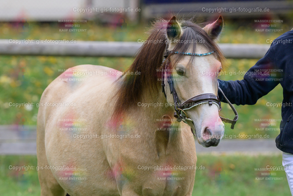 199_Rainbowcolours-Blueberry-Marmelade_v.Esse-Golden-Bigwig_01_gis | gis-fotografie