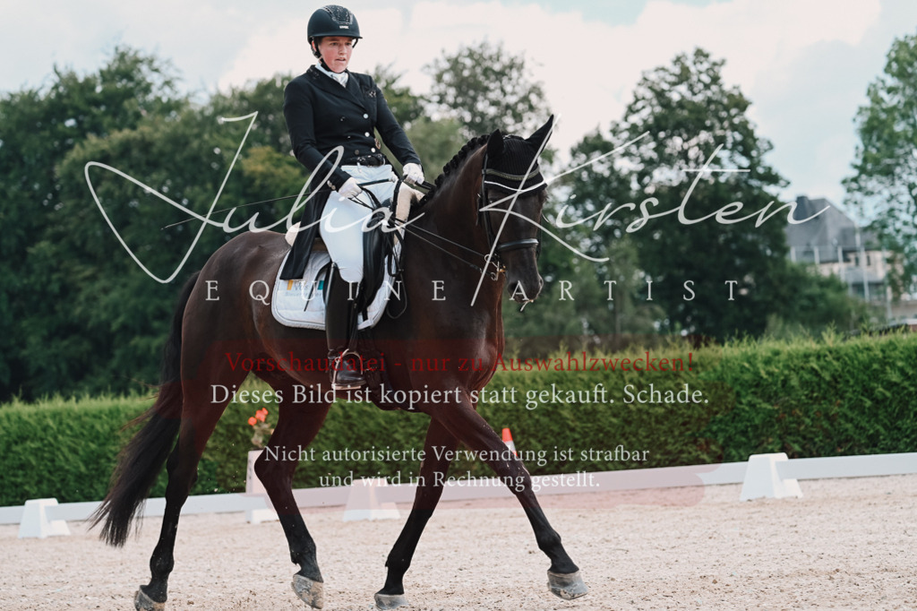 DSC_4247 | Pferde- und Turnierfotografie in Westsachsen. Pferdeportraits, Auftragszeichnungen und intuitive Kunst.