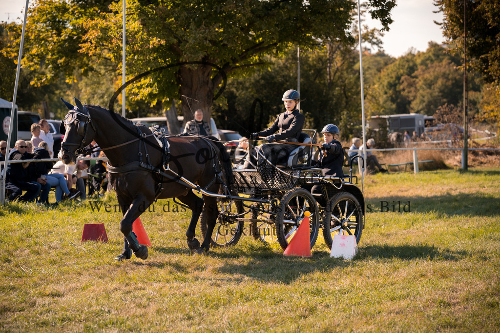 A7V04361 | Pferdefotograf