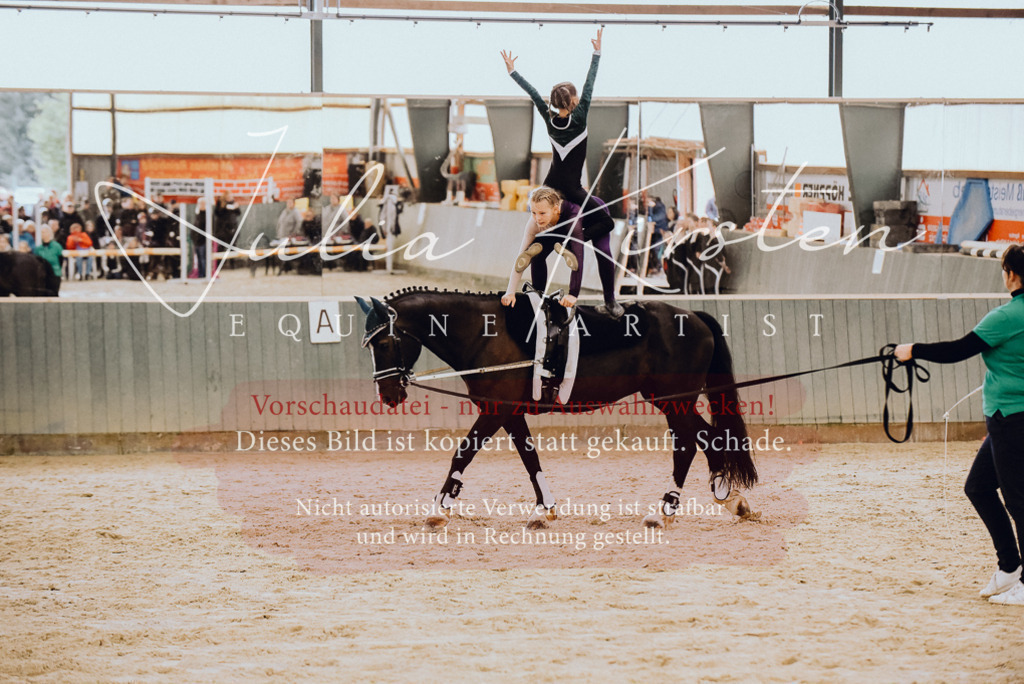 DSC_6876 | Pferde- und Turnierfotografie in Westsachsen. Pferdeportraits, Auftragszeichnungen und intuitive Kunst.