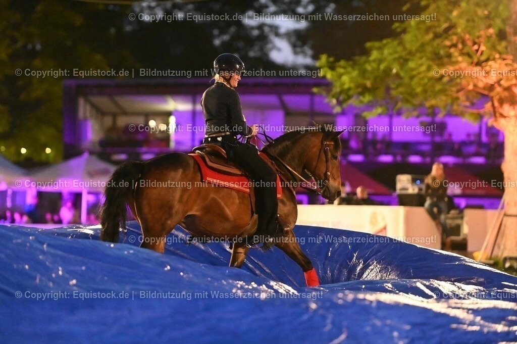 20230526_Pferdenacht_1026 | equistock