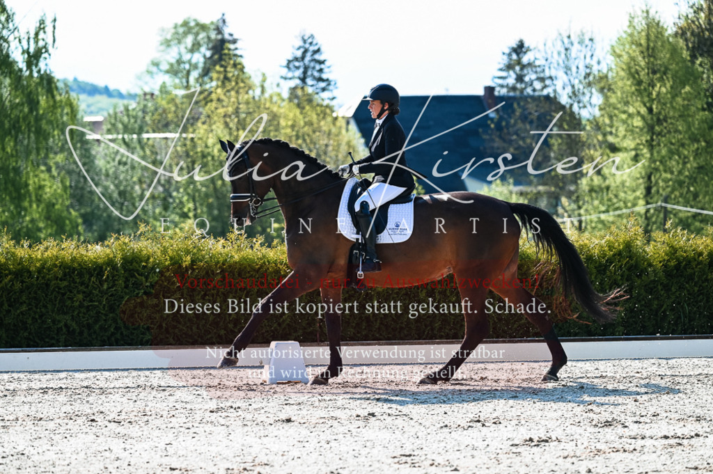 20230513_JK-Röhrsdorf-10-0092 | Pferde- und Turnierfotografie in Westsachsen. Pferdeportraits, Auftragszeichnungen und intuitive Kunst.