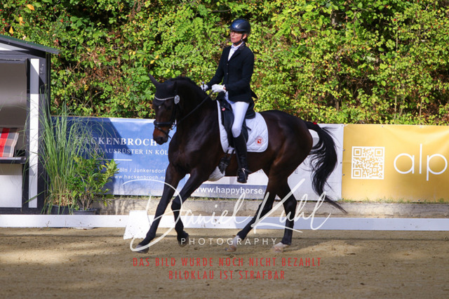 DKP41025 | Turniersportfotografie; Pferdefotografie; Dressurfotografie