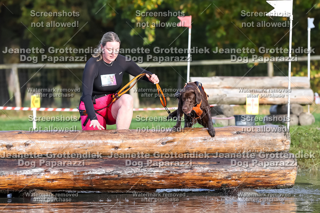 Dog Paparazzi - Strongdog 10-25-7047 | Dog Paparazzi Jeanette Grottendiek Fotografie & Videografie - Realisiert mit Pictrs.com
