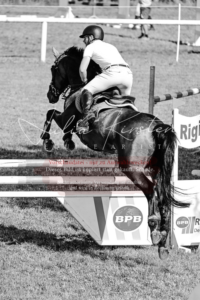 DSC_1952 | Pferde- und Turnierfotografie in Westsachsen. Pferdeportraits, Auftragszeichnungen und intuitive Kunst.