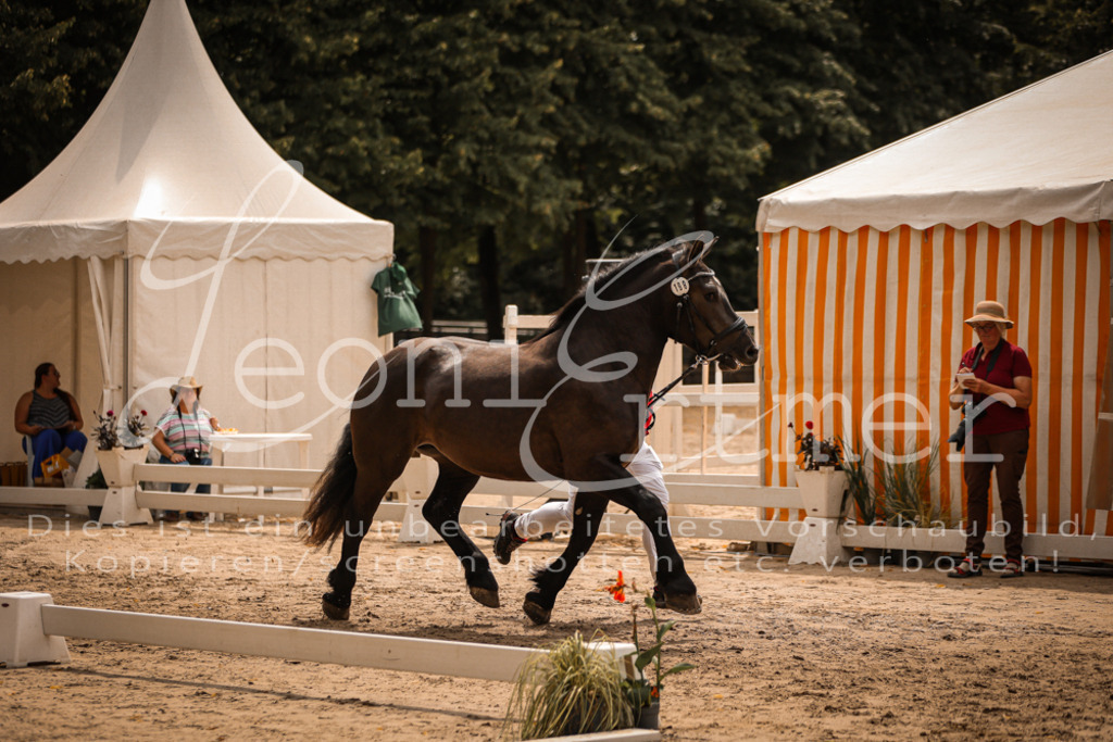 SaSieger00020 | Leoni Ertmer Photography - Realisiert mit Pictrs.com