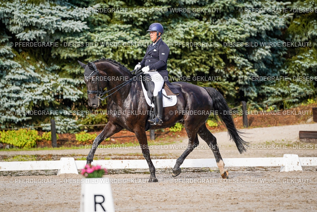 DSC00414 | Pferdegrafie