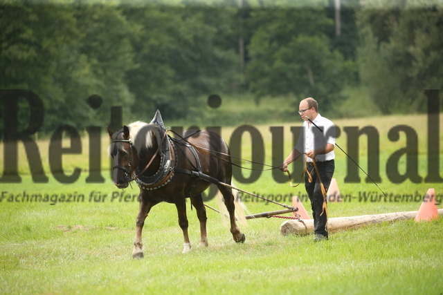 Leistungsprüfung_Ziehen_KN_15_Marbach_2022 (8) | Alle Fotos der Reiterjournal Fotografin Doris Matthaes im Reiterjournal Online-Fotoshop. - Realisiert mit Pictrs.com
