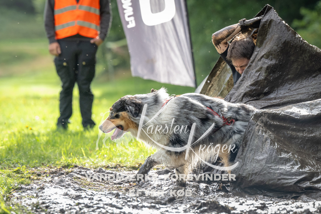 0911_ZZ90298 | kk-dogfotos