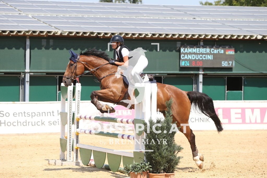 DL2Q1310 | Willkommen bei Brunnmayr - Design & Fotografie – Ihrem Spezialisten für Reitturniere und Pferdeveranstaltungen in Oberösterreich, Salzburg und Bayern! Seit über 17 Jahren sind wir leidenschaftlich dabei.