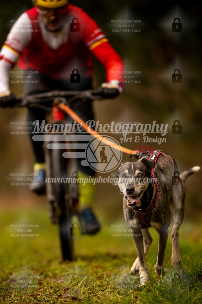 MompixPhotography_2SSTSSBW_2025_SO_Bike-44 | PayLife
