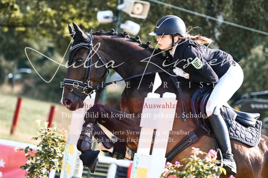 DSC_7589 | Pferde- und Turnierfotografie in Westsachsen. Pferdeportraits, Auftragszeichnungen und intuitive Kunst.