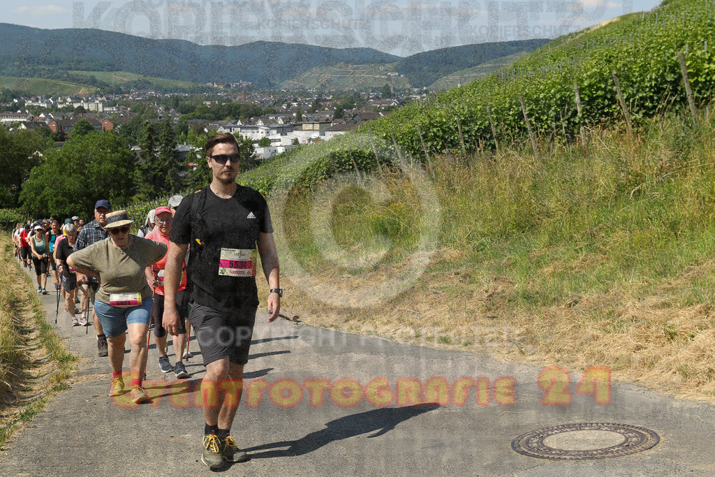 230617_1058_EV9_7499 | Sportfotografie im Rhein-Sieg Kreis, Köln, Bonn, NRW, Rheinland Pfalz, Hessen, etc. Unser Tätigkeitsfeld umfasst den Laufsport vom Volkslauf über den Marathon, Duathlon, Triathon bis zum Ultralauf wie Kölnpfad Ultra oder Schindertrail.