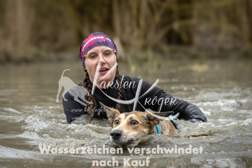 1239_ZZ99637 | kk-dogfotos