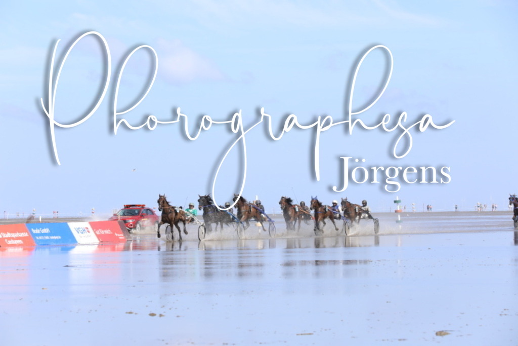 IMG_9088 | photographesa-joergens - Realisiert mit Pictrs.com