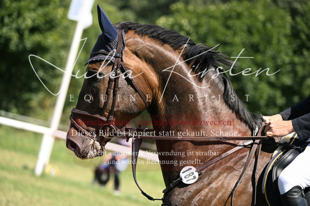 DSC_0265 | Pferde- und Turnierfotografie in Westsachsen. Pferdeportraits, Auftragszeichnungen und intuitive Kunst.