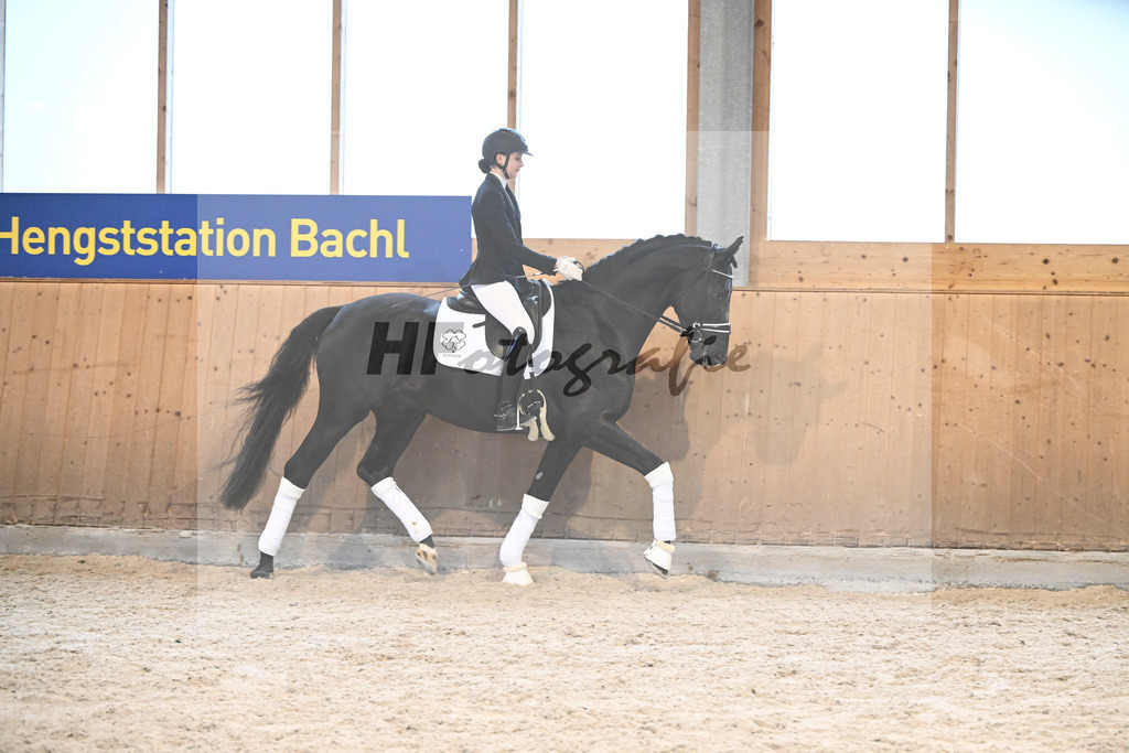 Haffruf_7240765 | hf-fotografie - Realisiert mit Pictrs.com