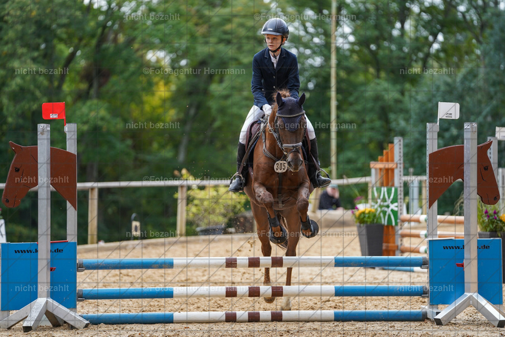 20231008-SN_01161 | Professionelle Turnier- und Reitsportfotografie - mit dem Finger am Auslöser. Pferdebilder aus dem Reitsport von den Turnierfotografen  Bayern , Pferdefotograf Bayern, Pferdeshooting Turnierbilder, Hochzeitsfotograf, Eventfotograf, Hochzeitsbilder
