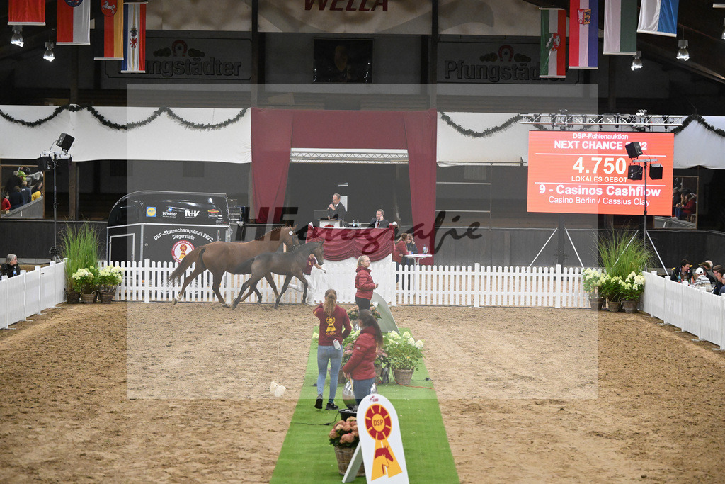 Fohlenauktion Next Chance_49220542 | hf-fotografie - Realisiert mit Pictrs.com