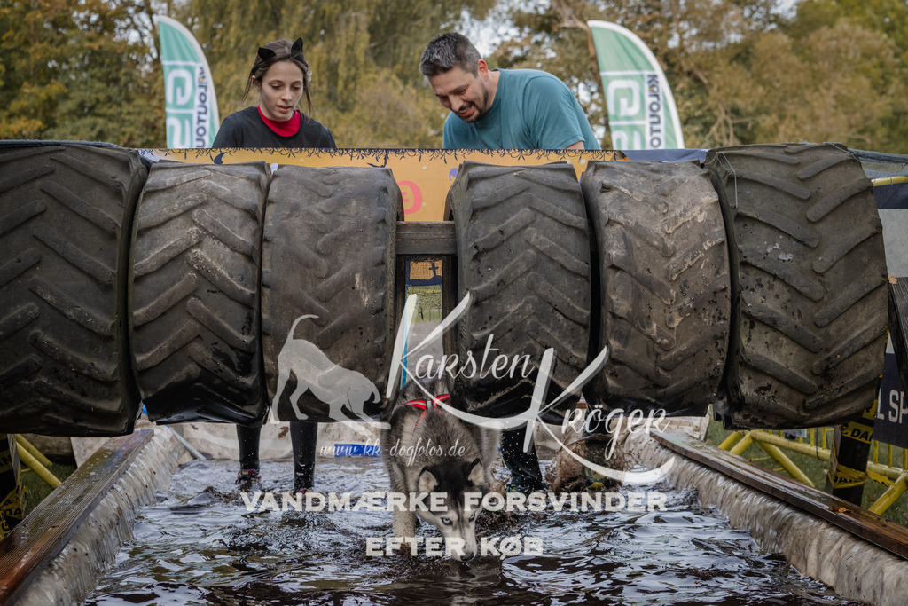 1455_ZZ90677 | kk-dogfotos