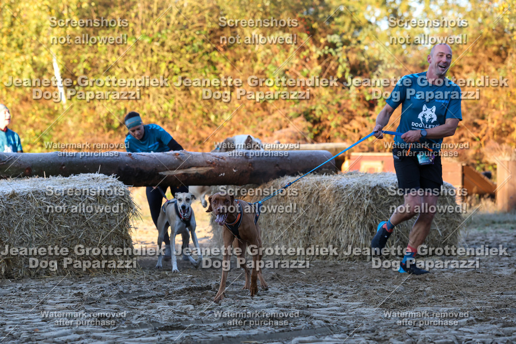 Dog Paparazzi - Strongdog 10-25-491 | Dog Paparazzi Jeanette Grottendiek Fotografie & Videografie - Realisiert mit Pictrs.com