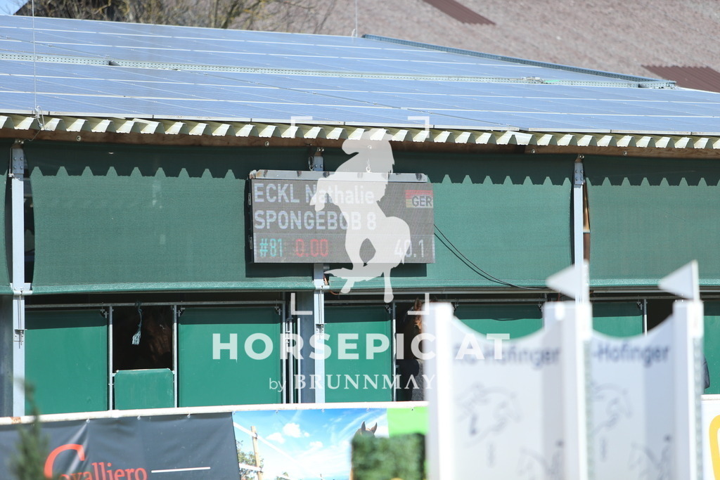 DL2Q3559 | Willkommen bei Brunnmayr - Design & Fotografie – Ihrem Spezialisten für Reitturniere und Pferdeveranstaltungen in Oberösterreich, Salzburg und Bayern! Seit über 17 Jahren sind wir leidenschaftlich dabei.