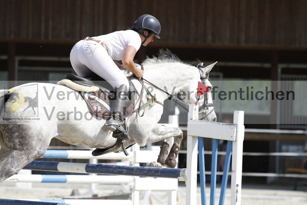 _MG_5203 | equestrian-live-com