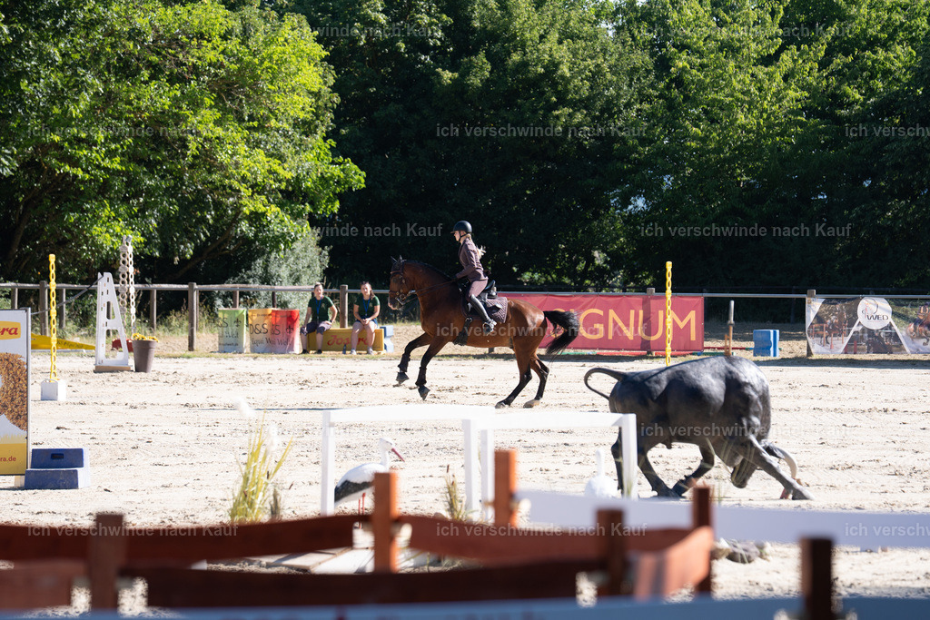 WL_SP_105_SinaFilmArt_IN05760 | working equitationturnier fotograf videograf stoibphotography marixx film working equitation deutschland reitsport turnierfotografie eventfotografie equestrian events