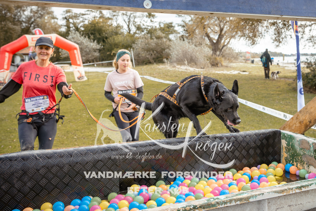 1353_ZZ92639-2 | kk-dogfotos