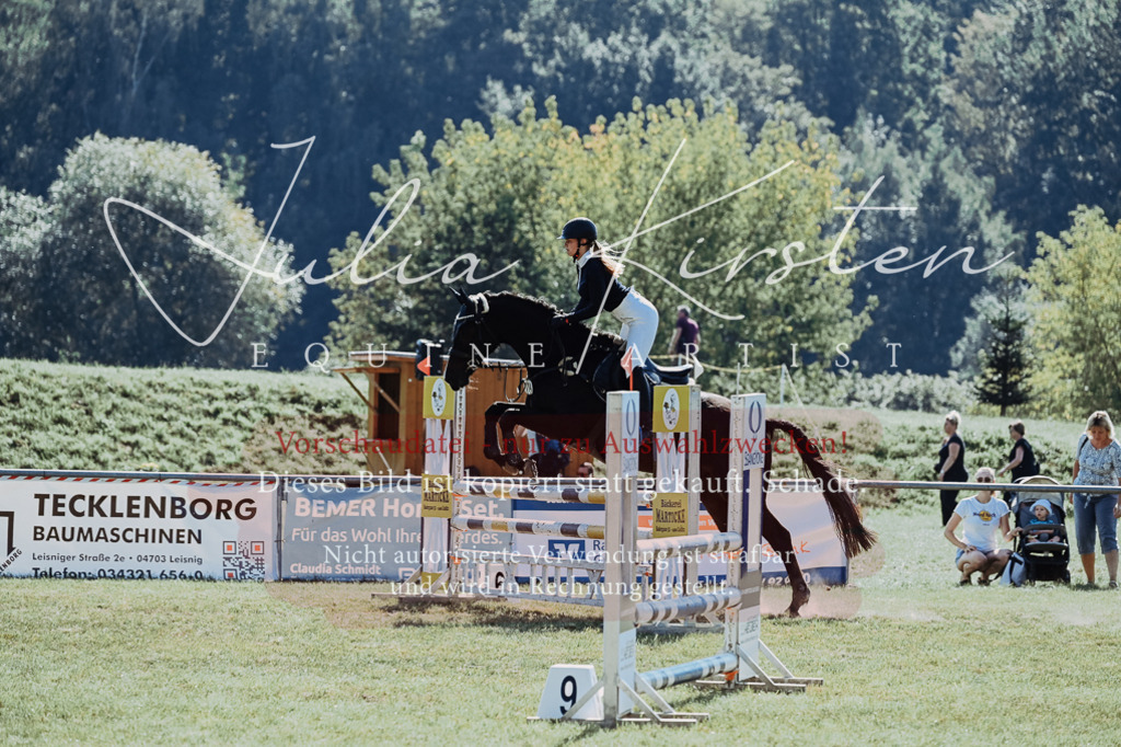 DSC_5771 | Pferde- und Turnierfotografie in Westsachsen. Pferdeportraits, Auftragszeichnungen und intuitive Kunst.