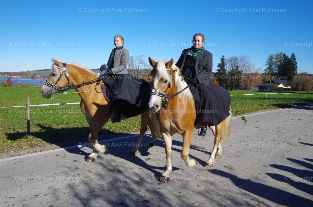 IMGP8585 | fotografiert von Axel PollmannLeonhardi Wallfahrt Benediktbeuern und Murnau, Fronleichnam, Fasching, Landschaft im Loisachtal und Benediktbeuern  - Realisiert mit Pictrs.com