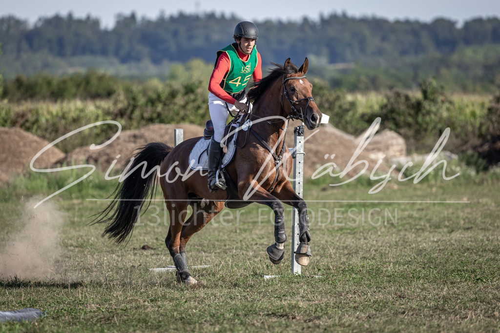 20250907-_3LI4560 | Tierfotografie Pferde, Hunde, Katzen, Haustiere.
Turnierfotografie Reitturniere, Reiten, Springreiten, Dressur in Hanau, dem Main-Kinzig-Kreis und dem Rhein-Main- Gebiet um Frankfurt
