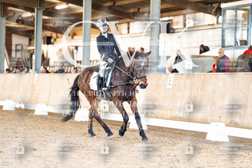 CK907183 | Turnierfotografie Pferdefotografie Trier Rheinland-Pfalz Pferdesport Reitsport Tierfotografie Sportfotografie Pferdevideo Pferdevideografie Equestrianvideography equestrianphotography  - Realisiert mit Pictrs.com