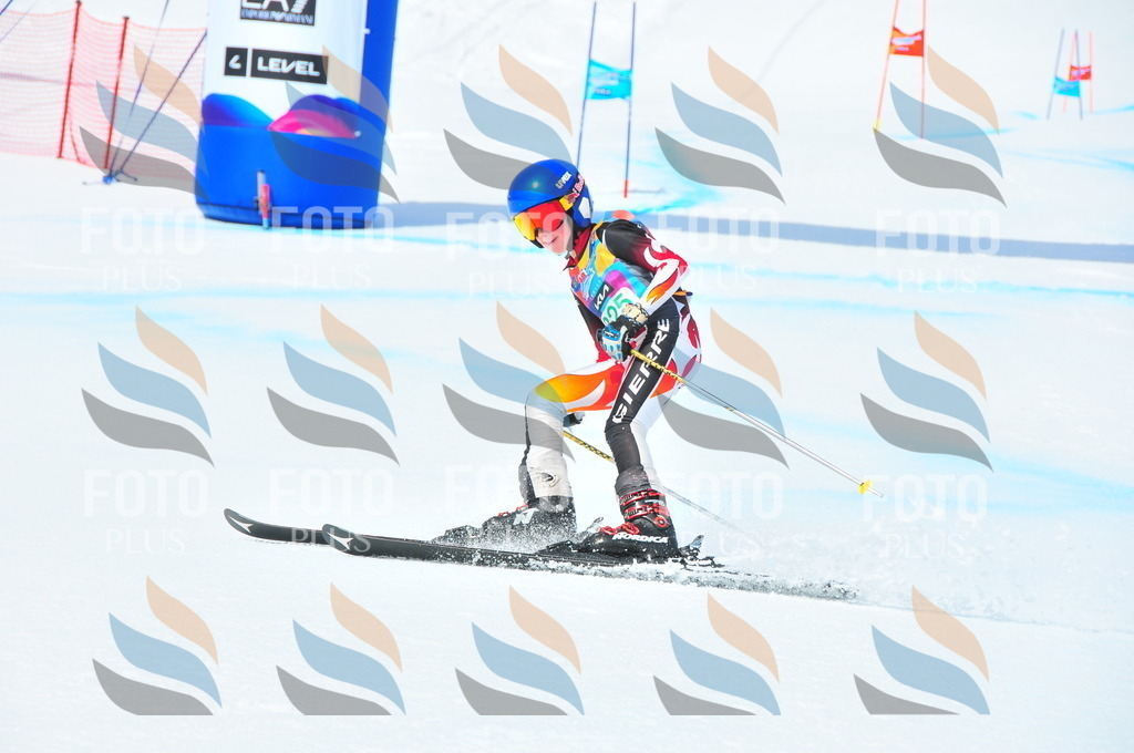 DSC_2984 | holidayphoto