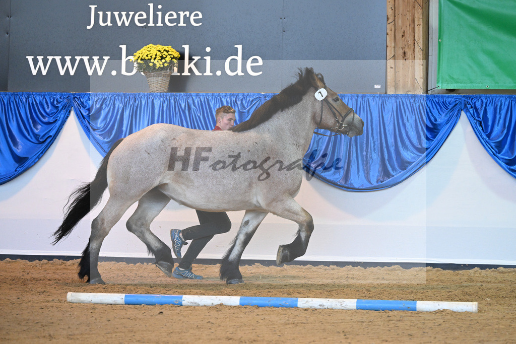 Kat-Nr. 7 Atlanta_Kley_53220948 | hf-fotografie - Realizzato con Pictrs.com