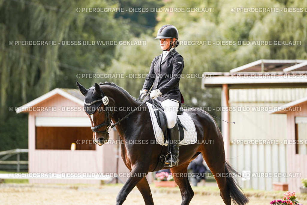 DSC00934 | Pferdegrafie