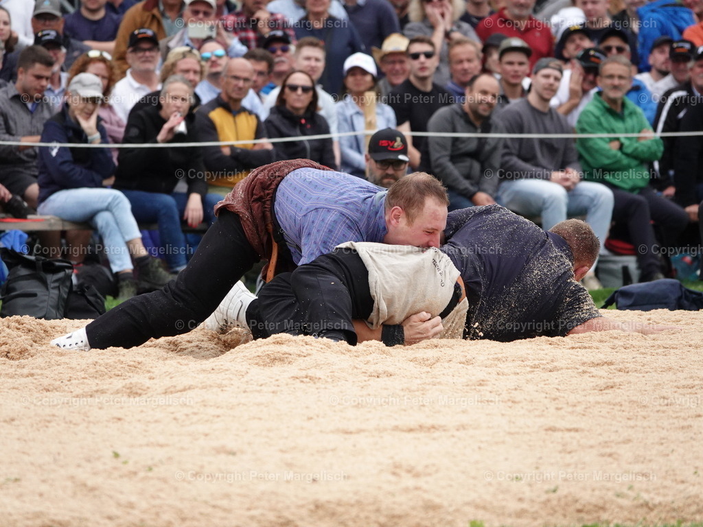 DSC08381 | Schwingen - Realisiert mit Pictrs.com