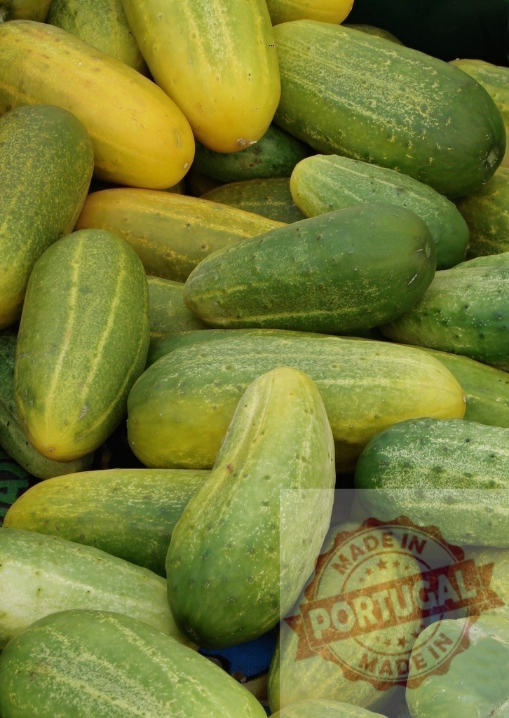 Fresh organic pickling cucumbers pile for sale | Fresh organic cucumbers piling, showing green and yellow harvest vegetables - Realized with Pictrs.com
